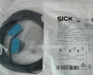 Sick GSE6-P1112